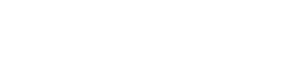 TSoul Logo